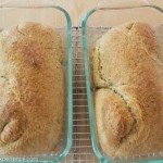 S-Shaped Sourdough Toasted Cornmeal Bread