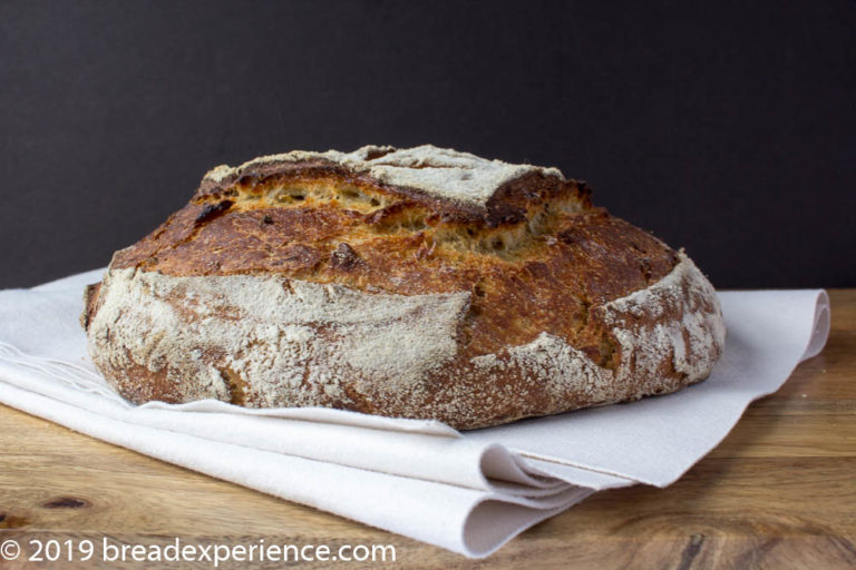 Sourdough Sweet Potato Onion Loaf - Bread Experience