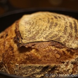 White Bread with Poolish