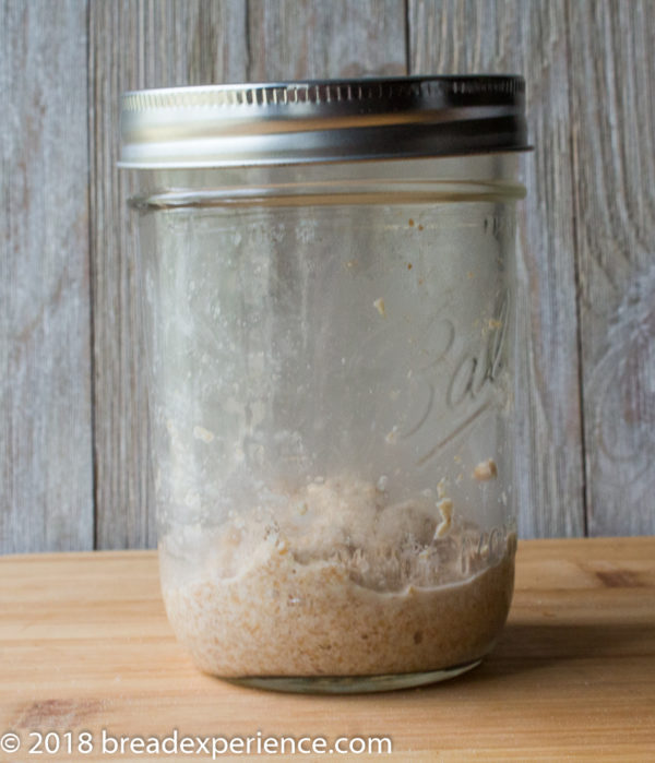 Yeast Water Royal Crown Tortano with Einkorn and Red Fife - Bread ...