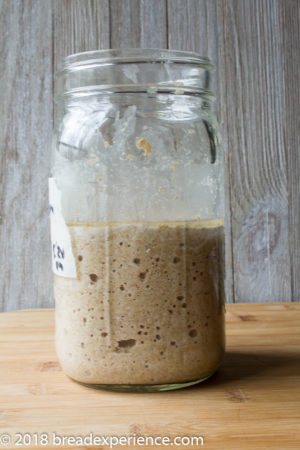 Yeast Water Royal Crown Tortano with Einkorn and Red Fife - Bread ...